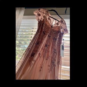 Adrianna Papell Rose Gold Gown